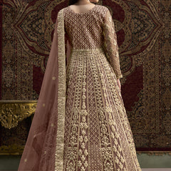 Light Brown Net Embroidered Anarkali Suit