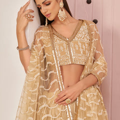Beige Butterfly Net Embroidery Thread Designer Lehenga