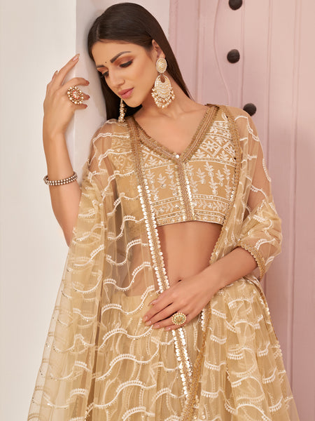 Beige Butterfly Net Embroidery Thread Designer Lehenga
