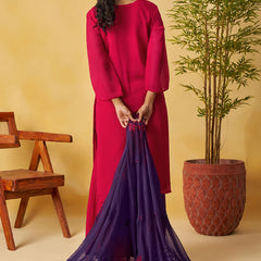 Red Organza Embroidered And Handwork Palazzo Suit