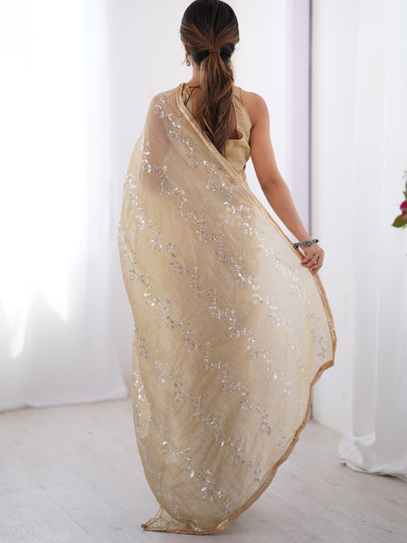 Beige Organza Moti & Val Sequence Party Wear Saree
