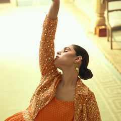 Orange Viscos Shimmer Jacquard Silk Embroidered Gown