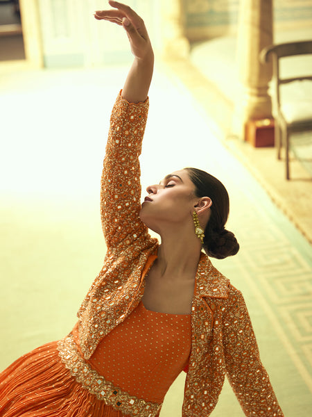 Orange Viscos Shimmer Jacquard Silk Embroidered Gown
